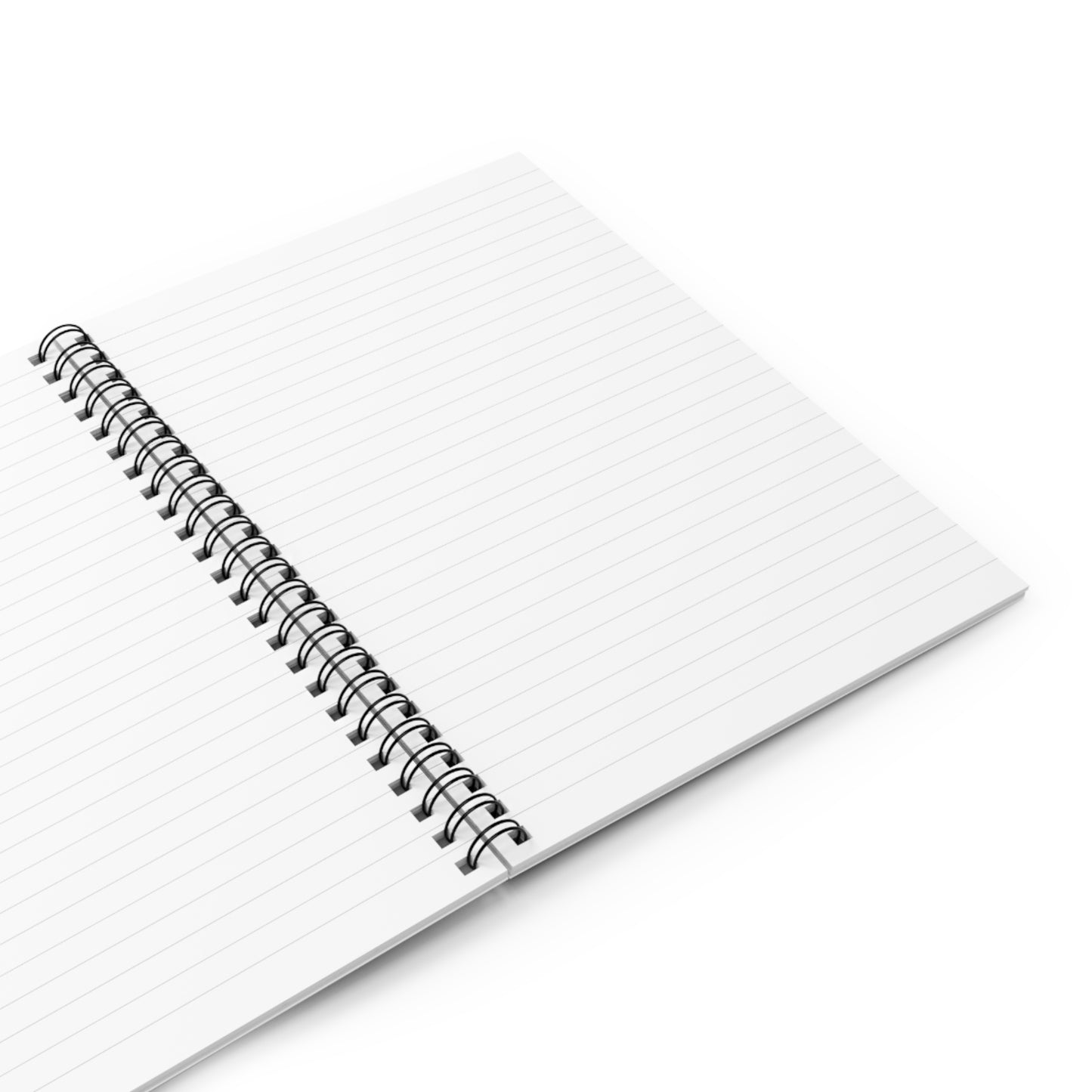 I Promise I'm Sane Journal